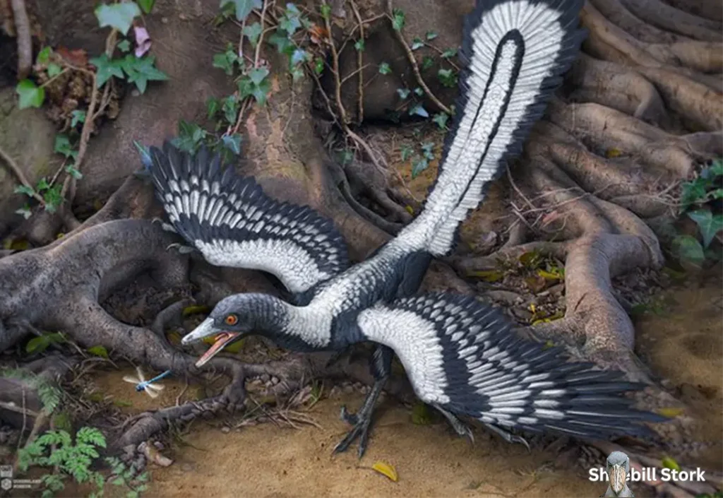 Shoebill Stork Dinosaur